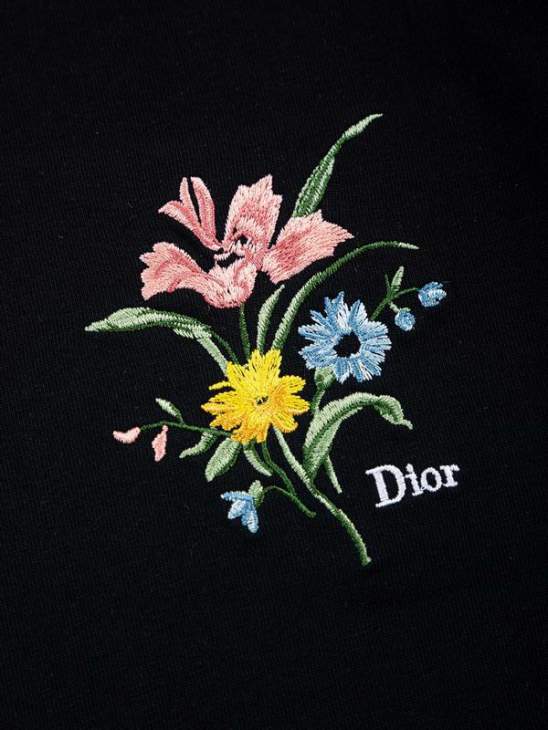 Dior T Shirts Short _SKUDiorXS-Lxetr30415414